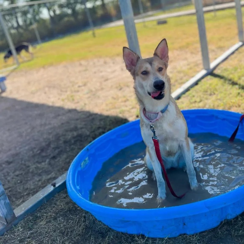 Solstice thumbnail 5