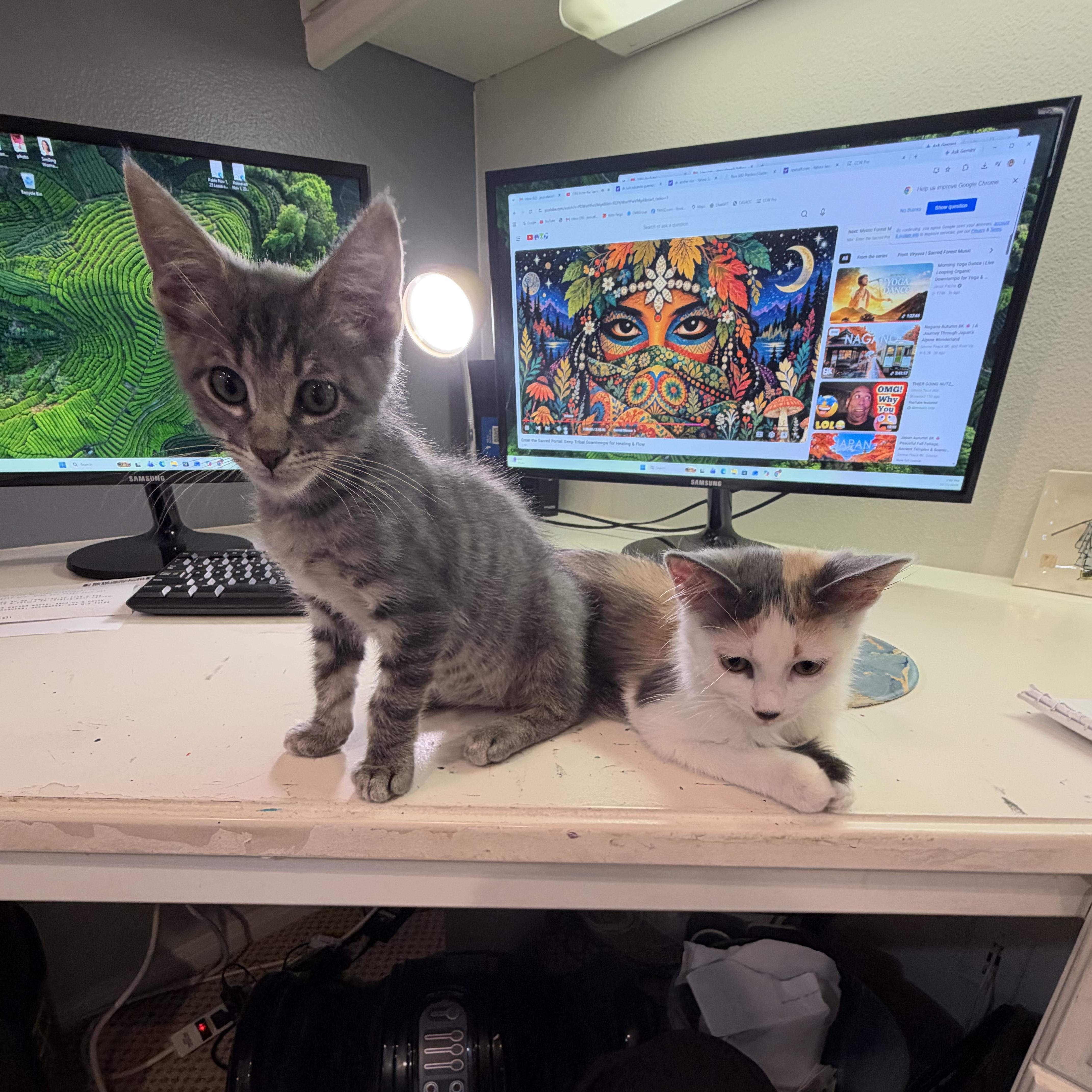 BFFs Pinky & Milo thumbnail 6
