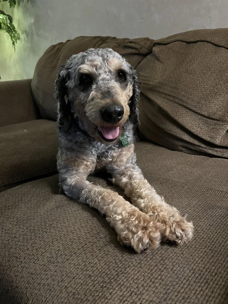 Baxter thumbnail 3