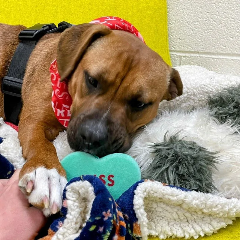 Lula May thumbnail 2