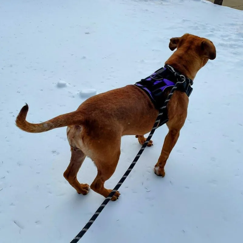 Lula May thumbnail 3