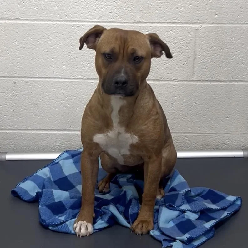 Lula May thumbnail 4