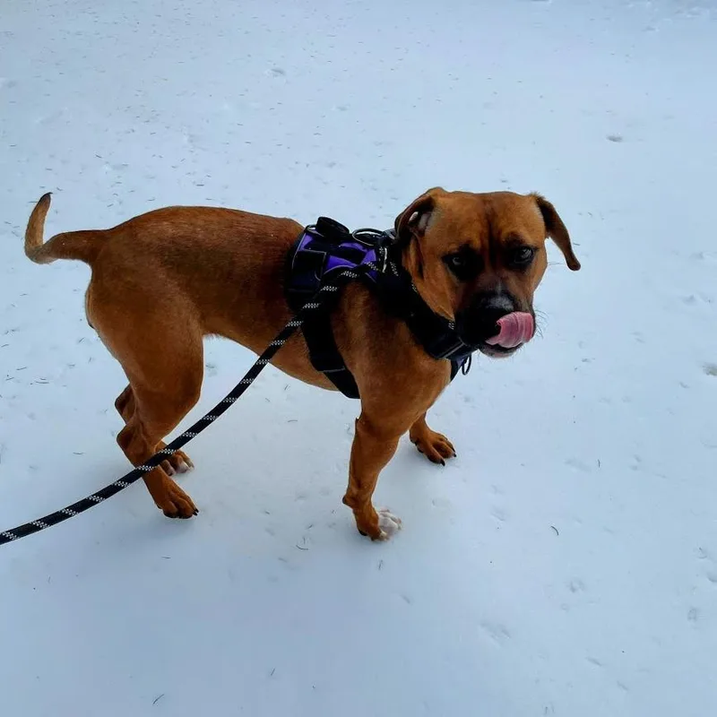 Lula May thumbnail 5