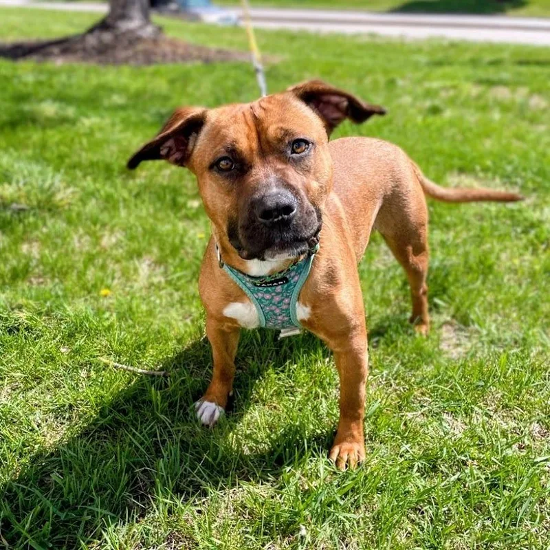 Lula May thumbnail 6