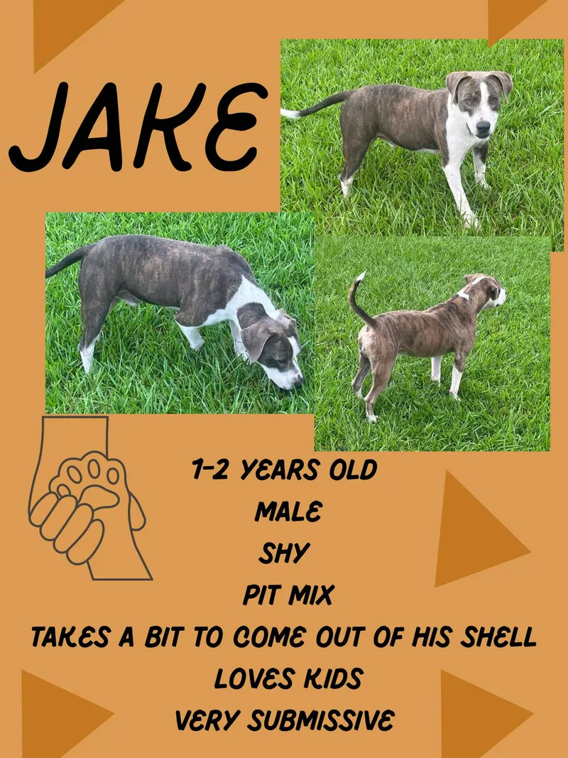 Jake