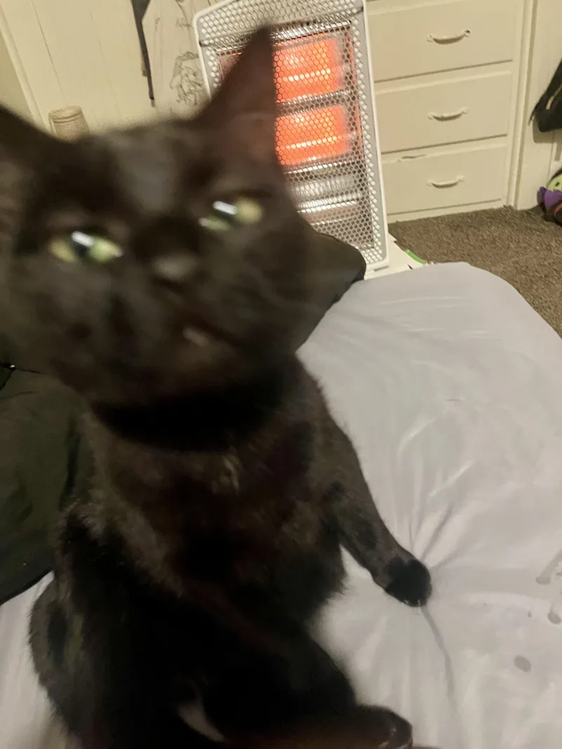 Raven & Sanji thumbnail 5