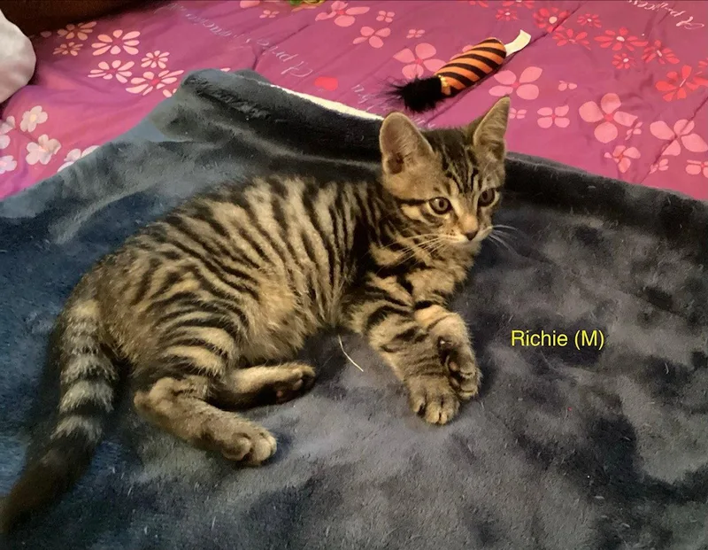 Richie thumbnail 2