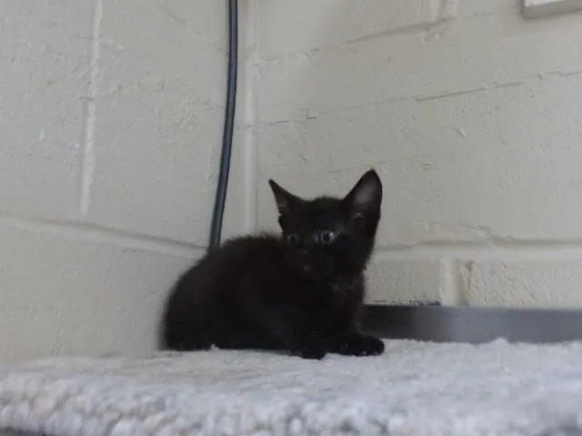 Duncan
