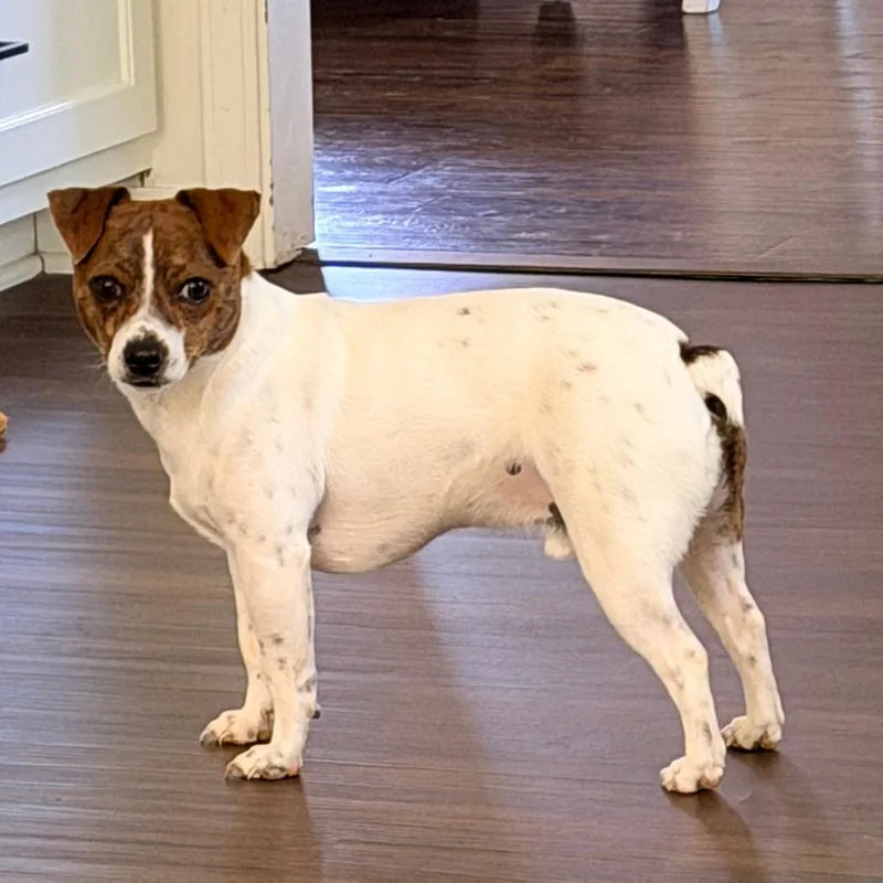 Courtesy Listing  Lucky