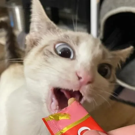 Casper thumbnail 3