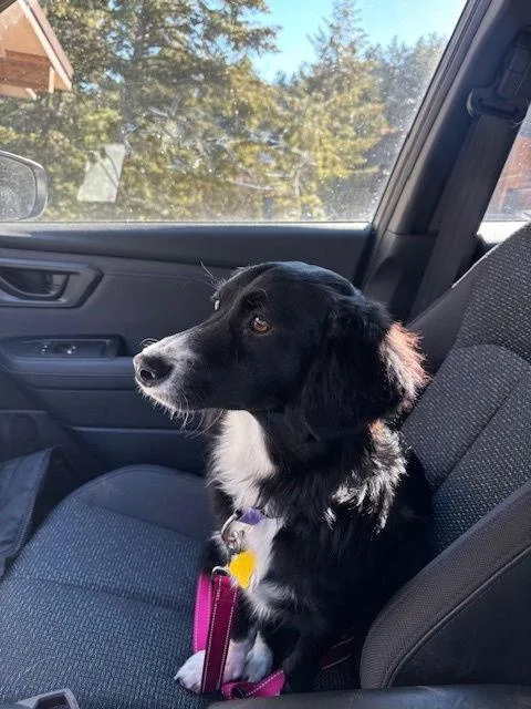 Eddie Money thumbnail 2