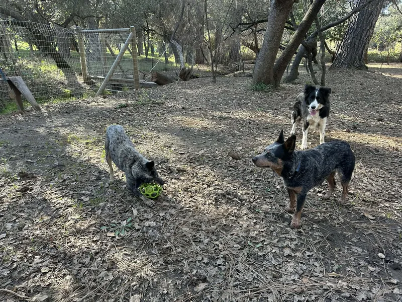 Miss Tuesday! thumbnail 5