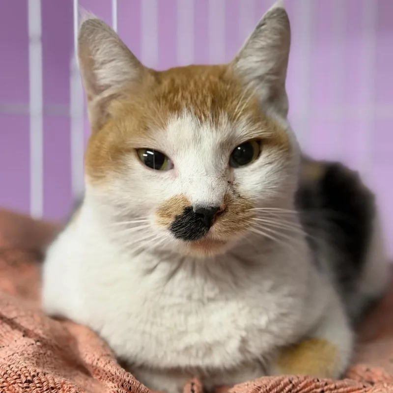 Bargain Basement Betty thumbnail 3