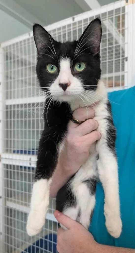 Bing Bong thumbnail 2