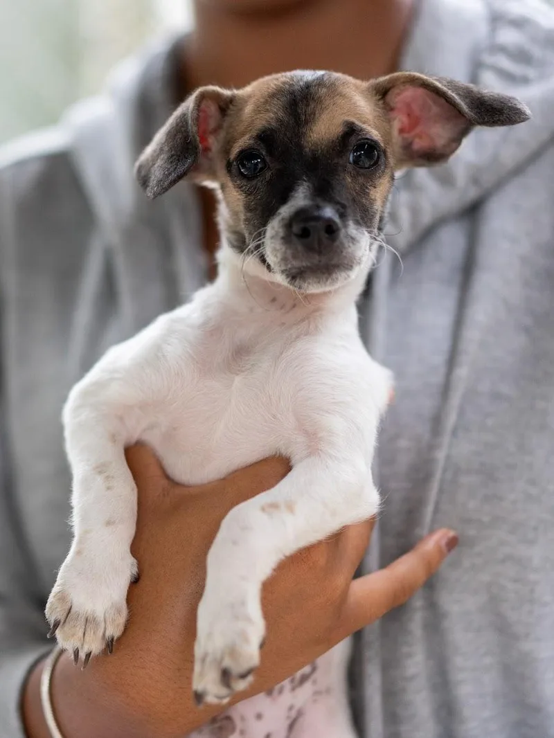 Baby Frank thumbnail 2