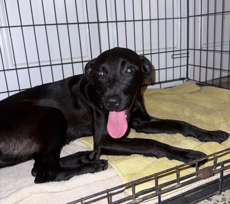 Luna  The Street thumbnail 2