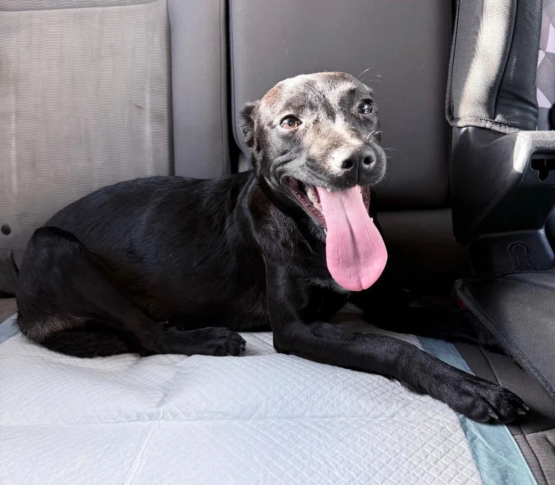 Luna  The Street thumbnail 3