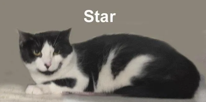 Star Johnson thumbnail 2