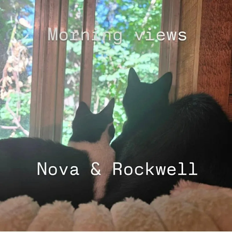 Nova & Rockwell thumbnail 3