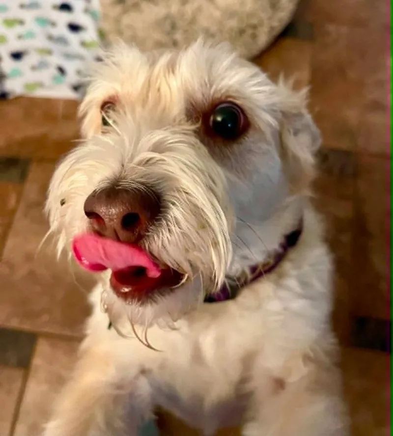 Freddie thumbnail 2