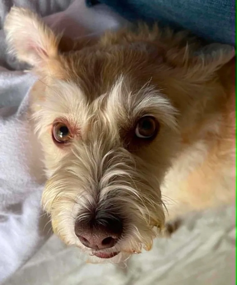 Freddie thumbnail 4