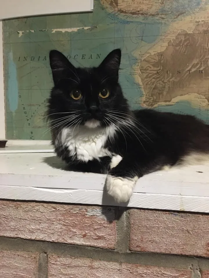 Valentine thumbnail 2