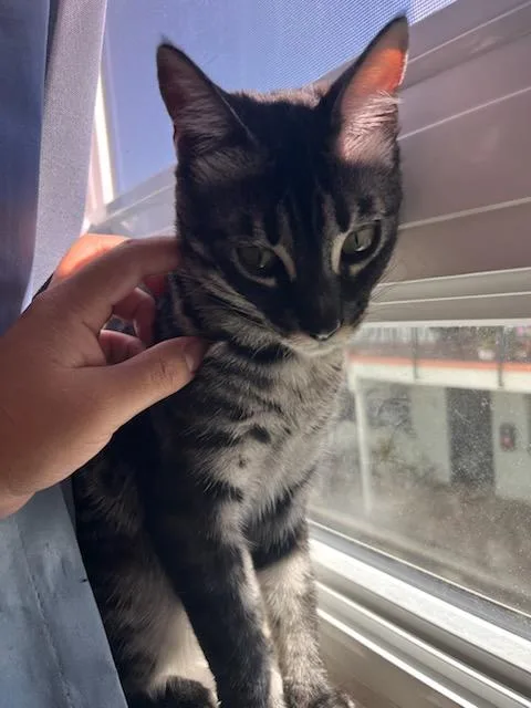 Lilo Lilo!! thumbnail 2