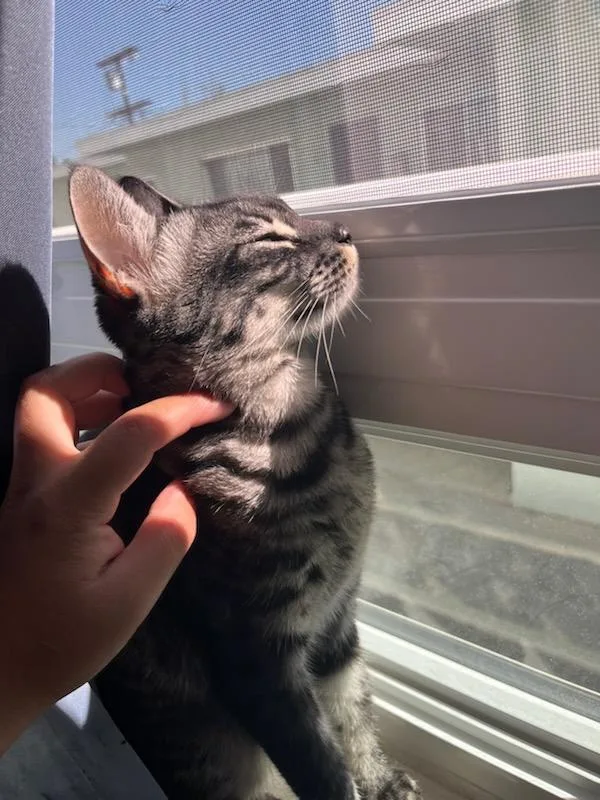 Lilo Lilo!! thumbnail 3