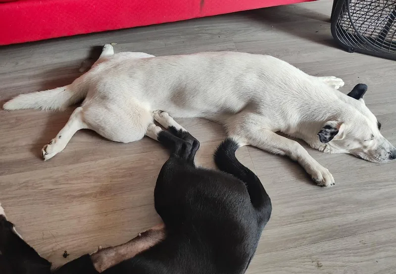 Sunshine thumbnail 2