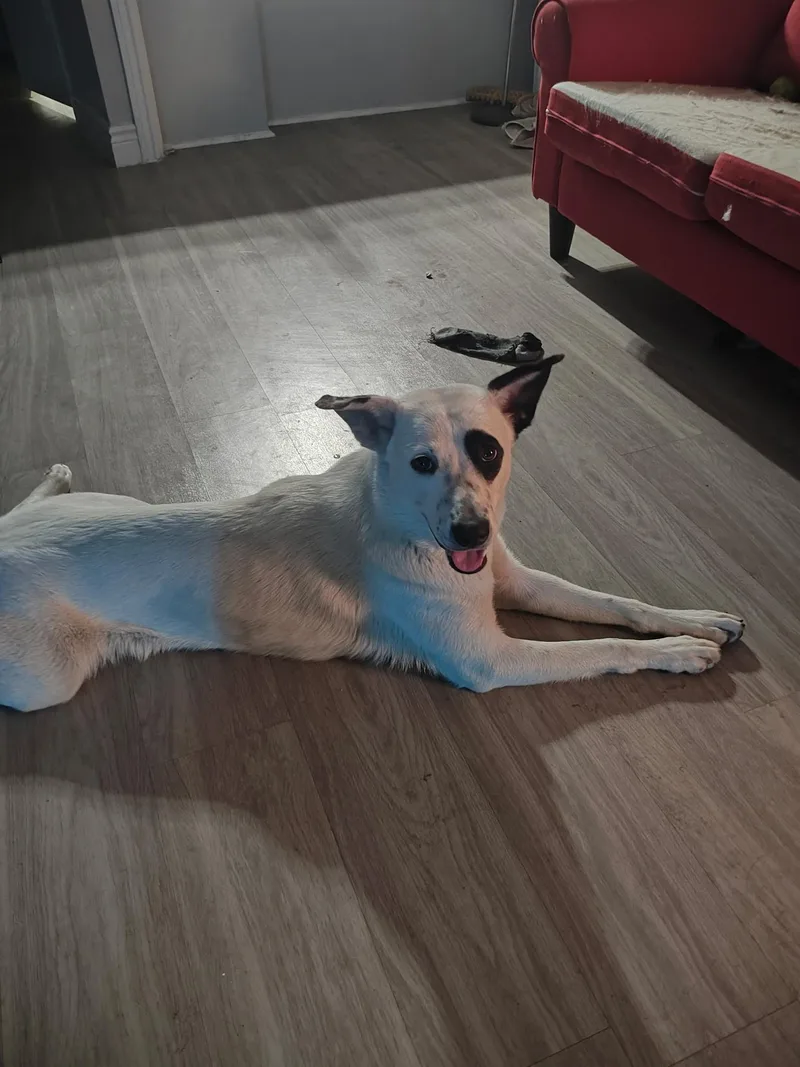 Sunshine thumbnail 4