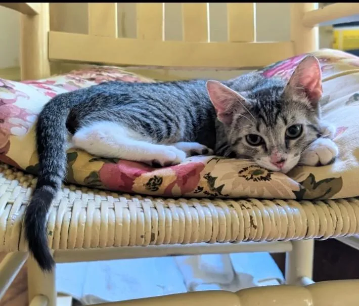 Rambunctious Reina thumbnail 4