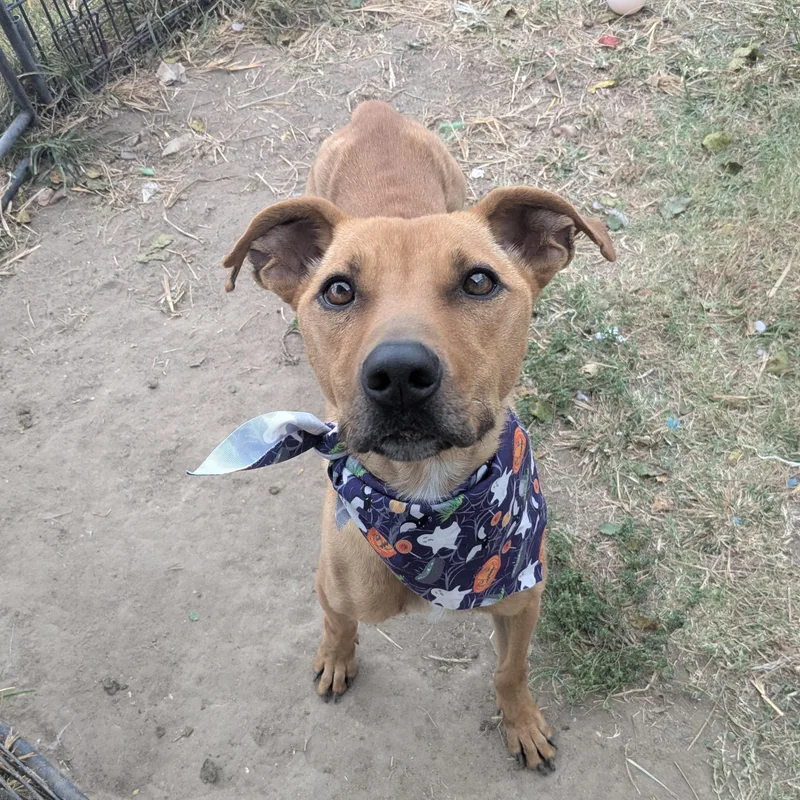 Skittles thumbnail 2