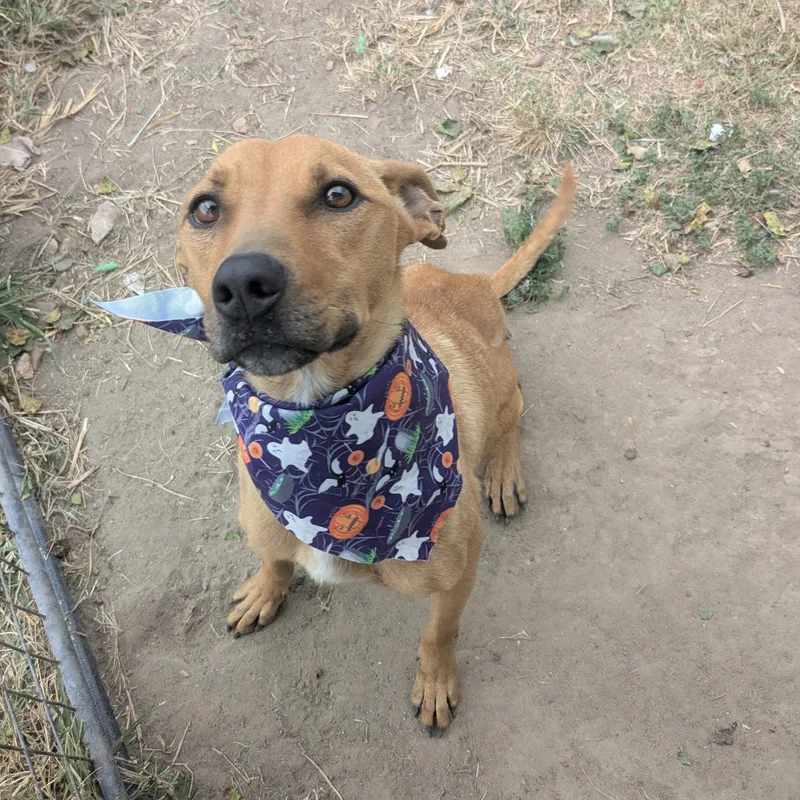 Skittles thumbnail 4