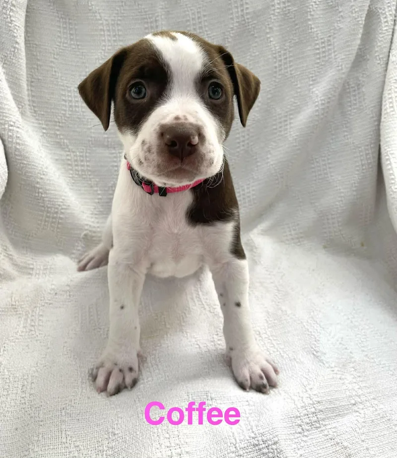 Coffee thumbnail 2