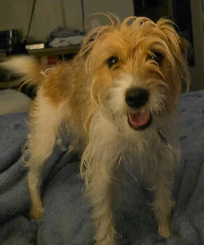 Lucy thumbnail 2
