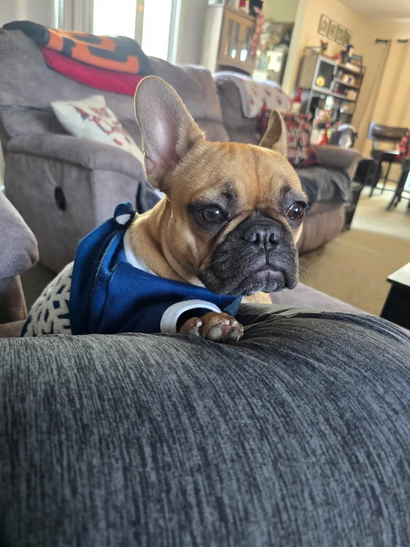 Lola