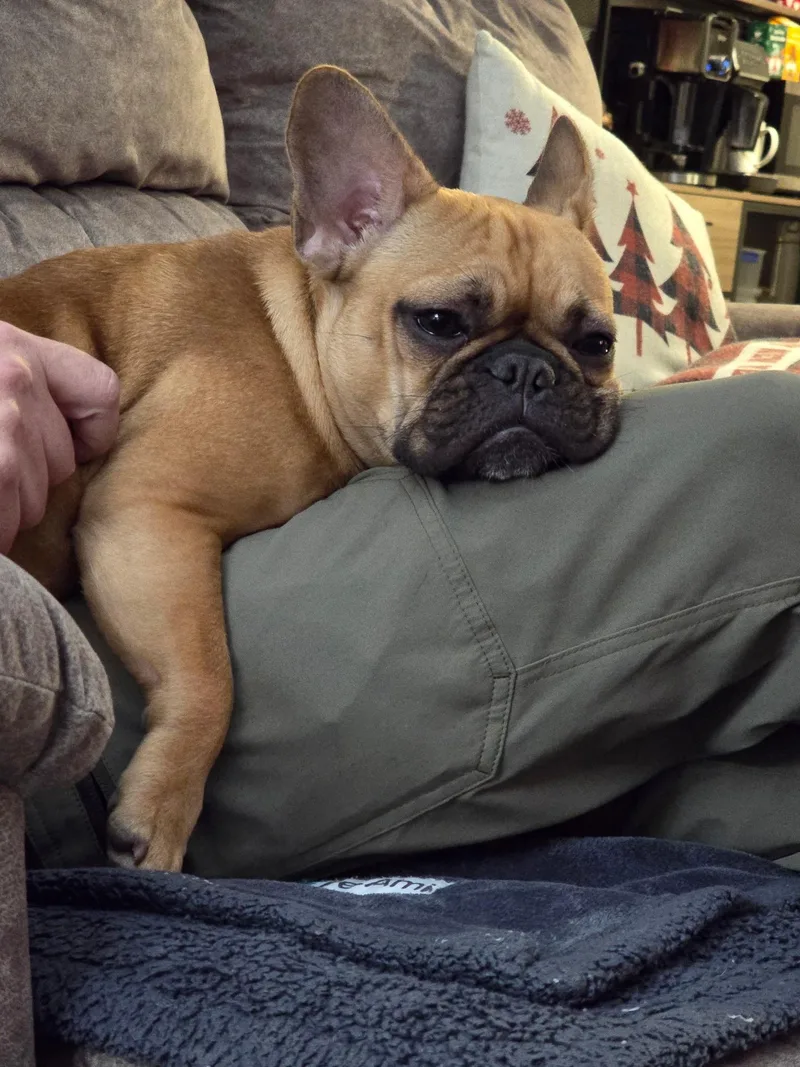 Lola thumbnail 2