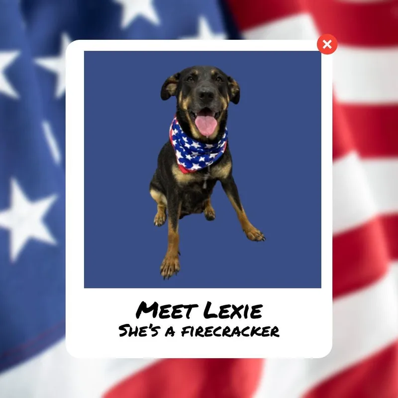 Lexie thumbnail 2
