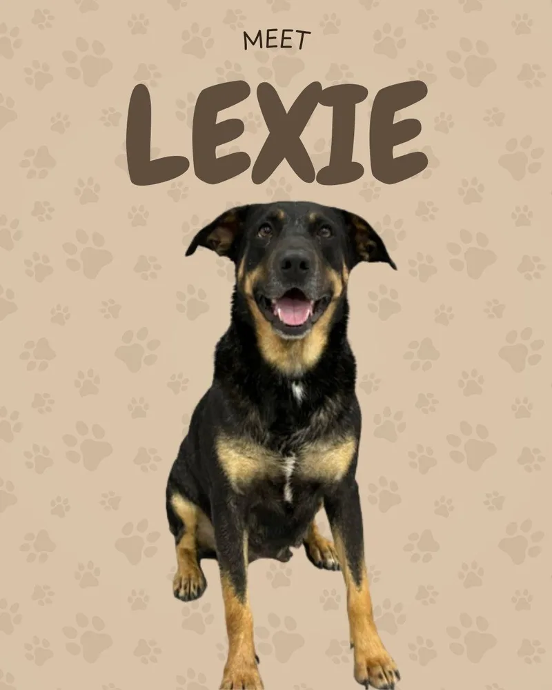 Lexie thumbnail 3