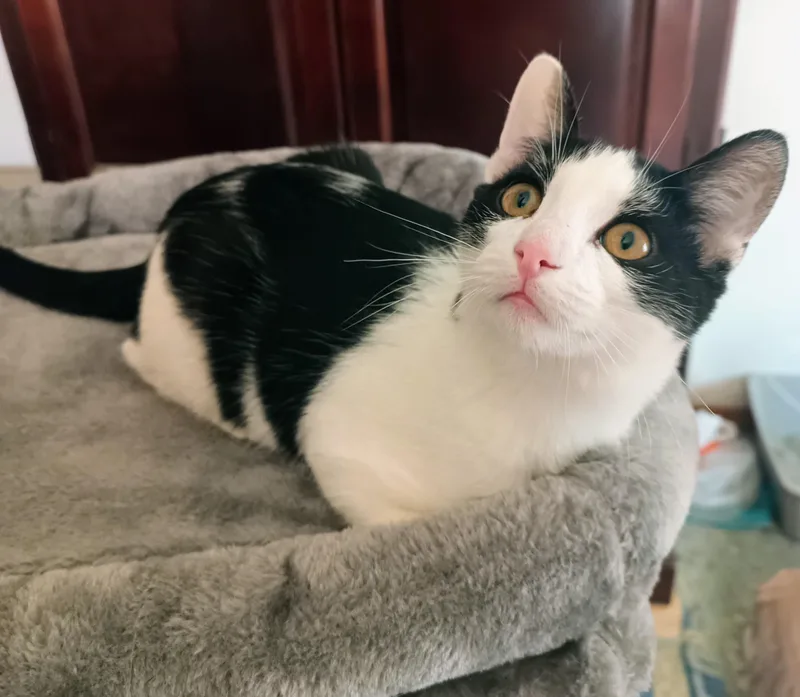 Jackie Chan thumbnail 2