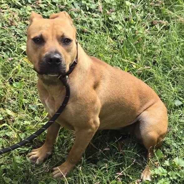 Yas Queen thumbnail 2