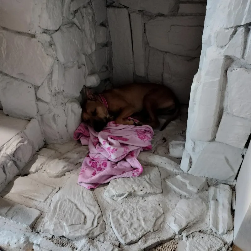 Yas Queen thumbnail 3