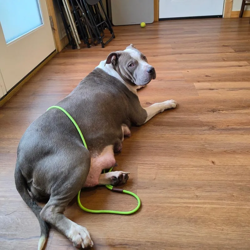 Big Mama