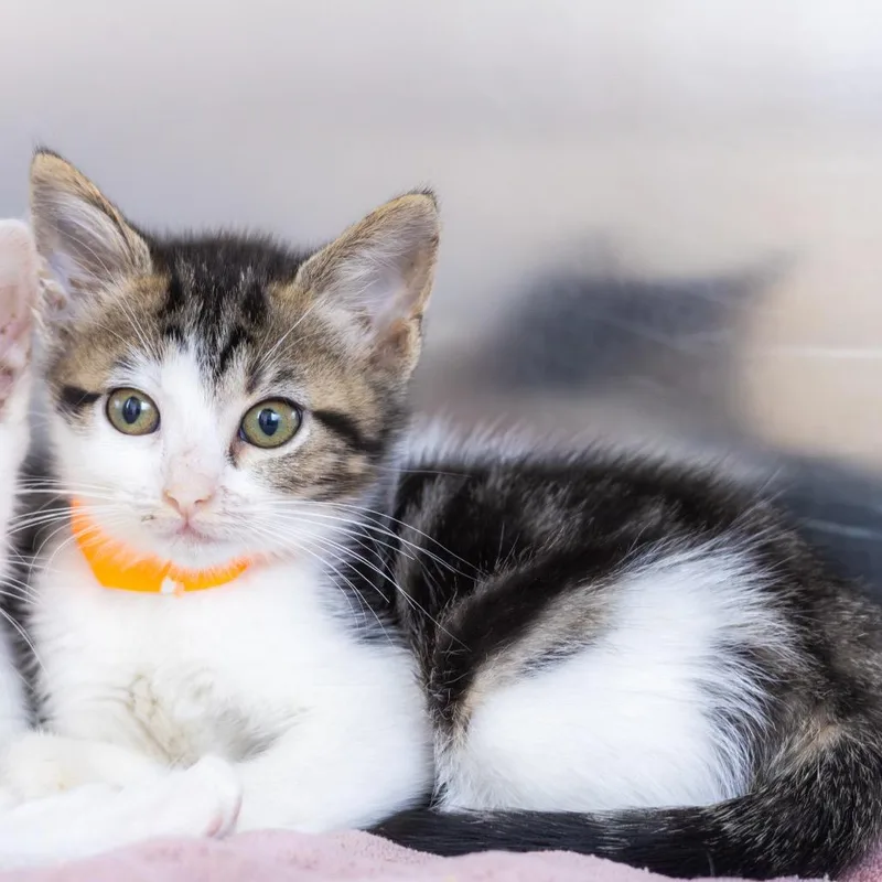 Jenna thumbnail 3
