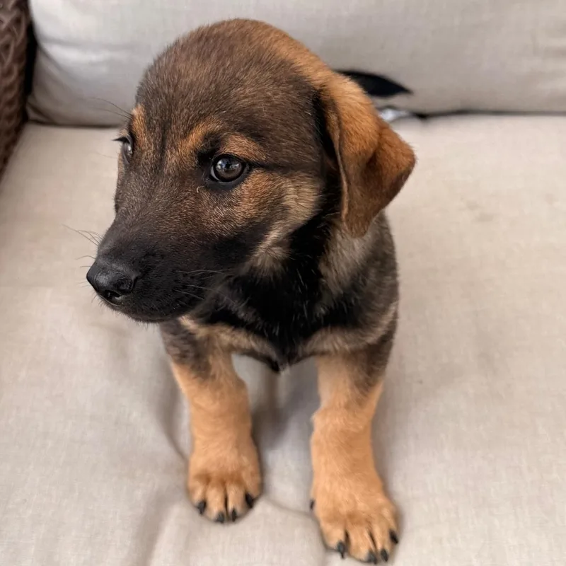 Marco