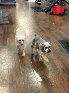 Max And Mollly thumbnail 3