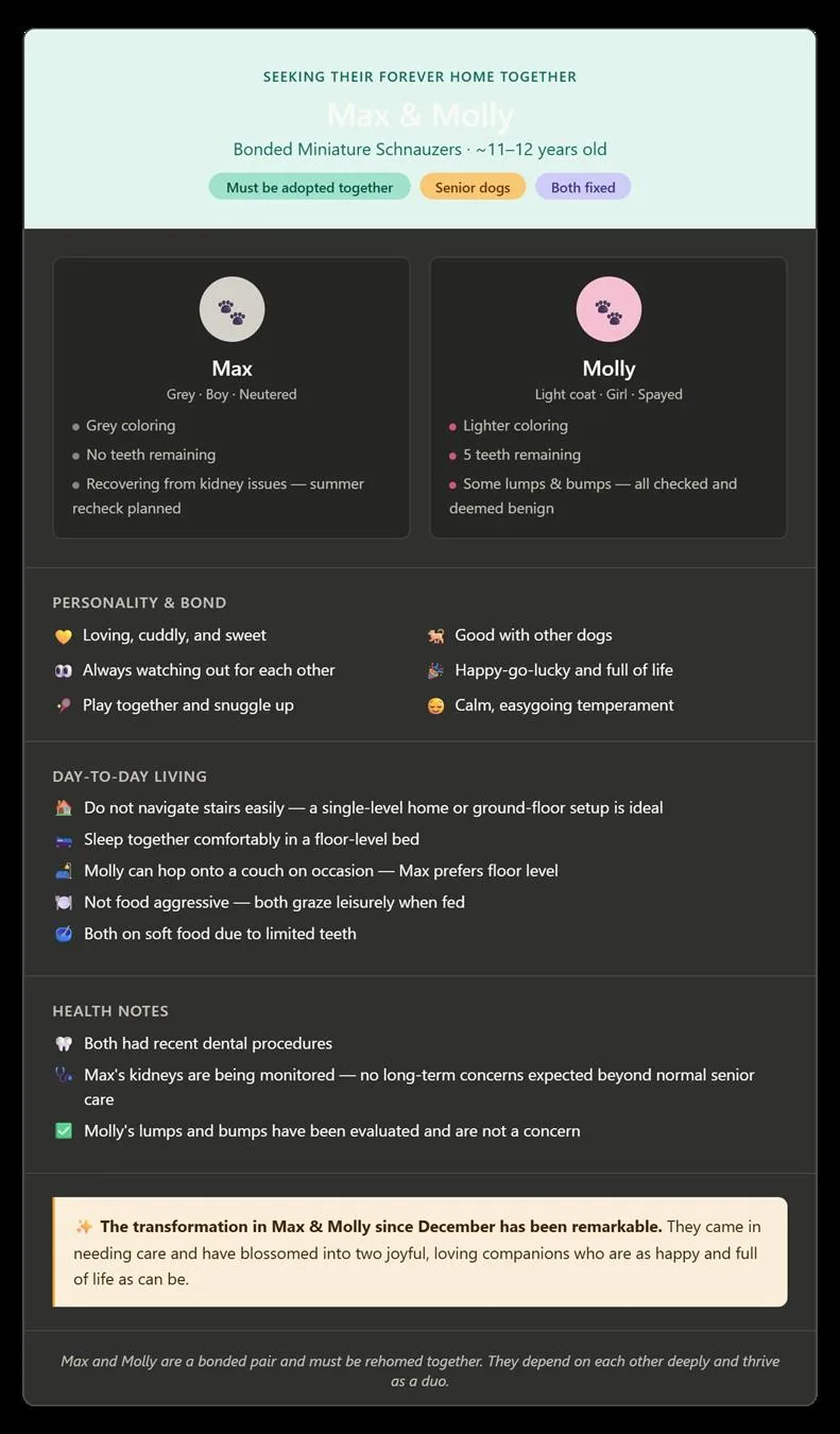 Max And Mollly thumbnail 5