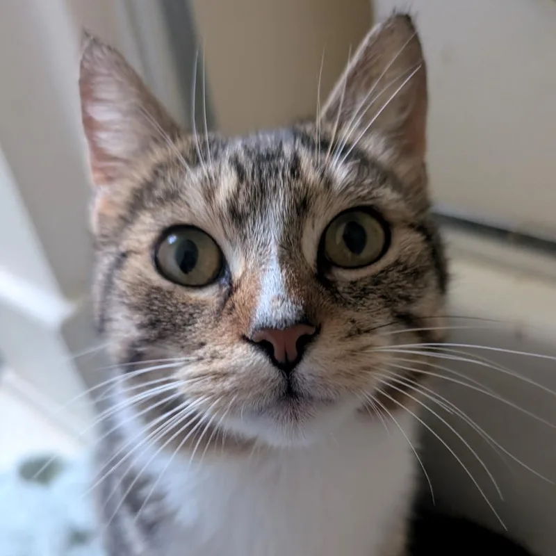 Sasha thumbnail 2