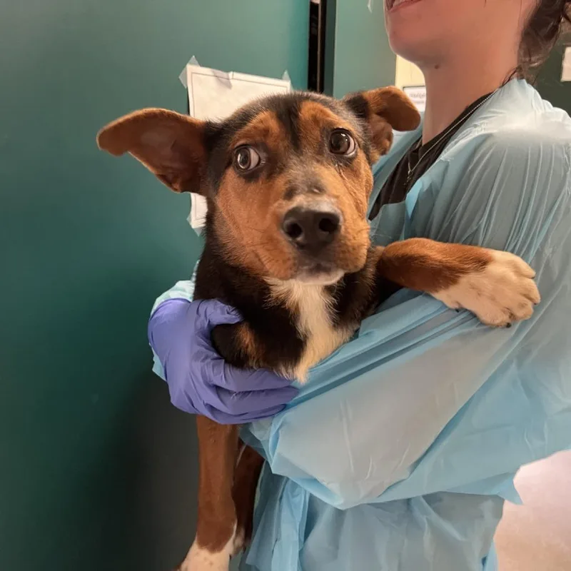 Guinness thumbnail 2