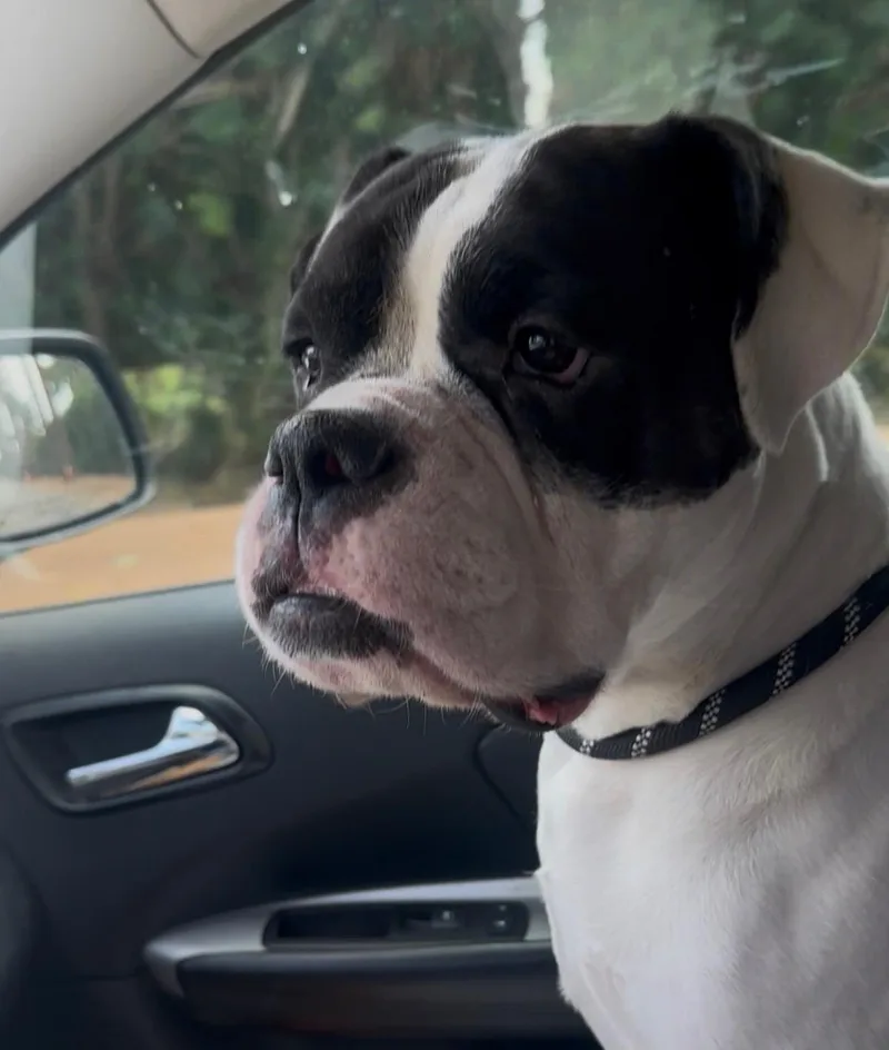 Freddie thumbnail 4
